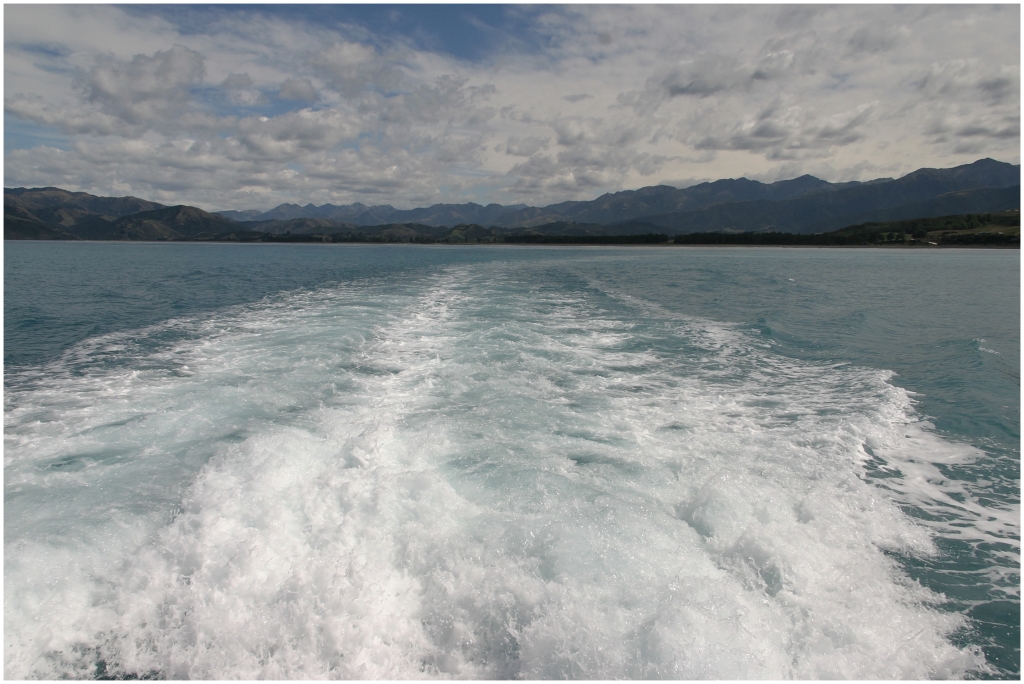 14 - Kaikoura (15).jpg